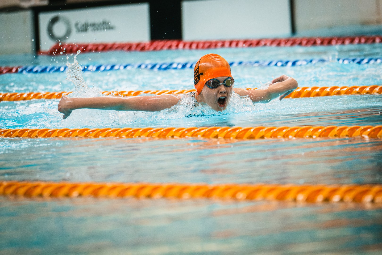 Butterfly stroke